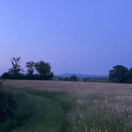 Thatched County Limerick בית נופש *