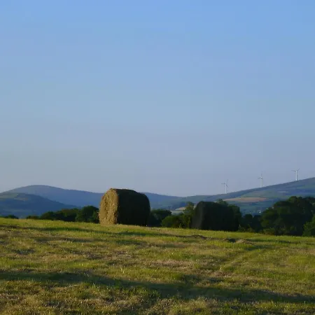 Thatched County Limerick בית נופש *